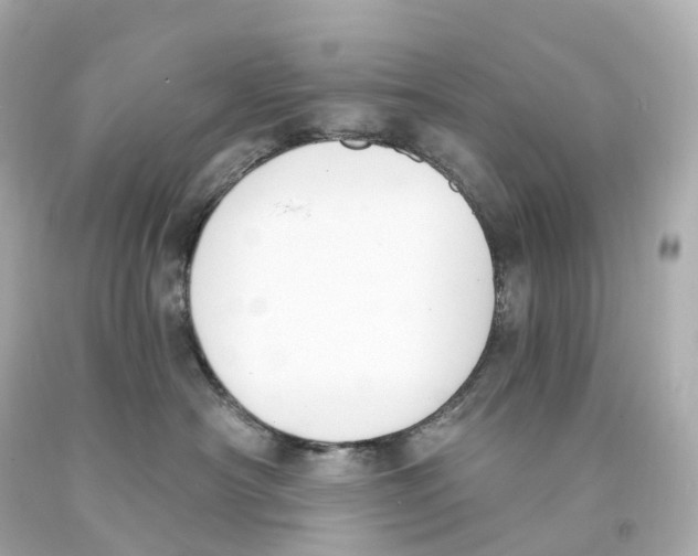 X0000093090430200710241204