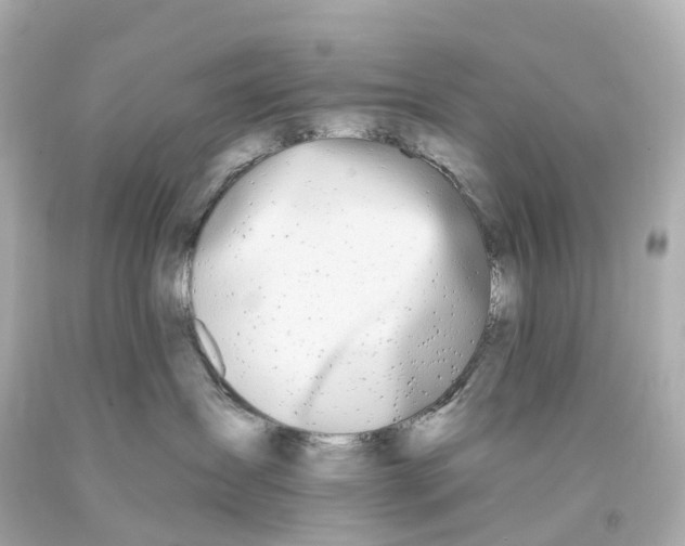 X0000093090431200710241204