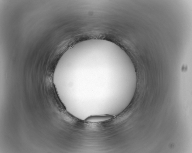 X0000093090432200710241204