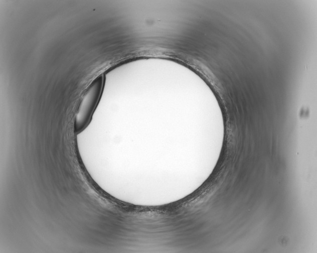 X0000093090433200710241203