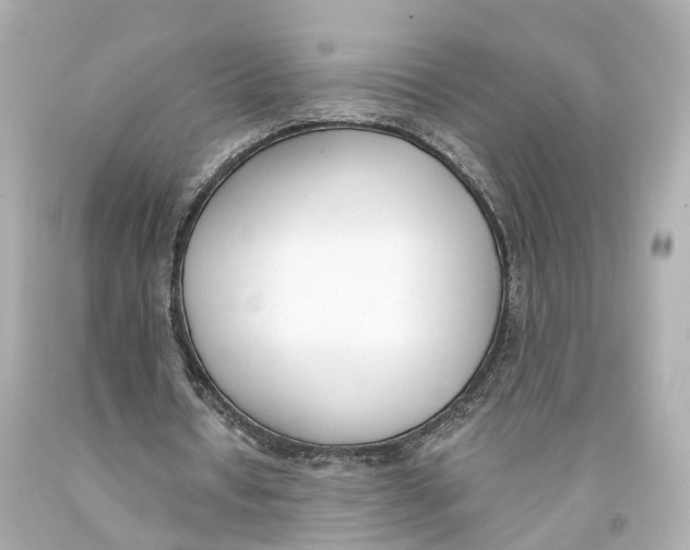X0000093090434200710241203