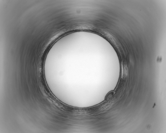 X0000093090435200710241203