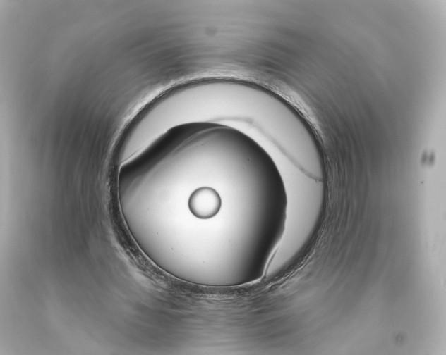 X0000093090436200710241203