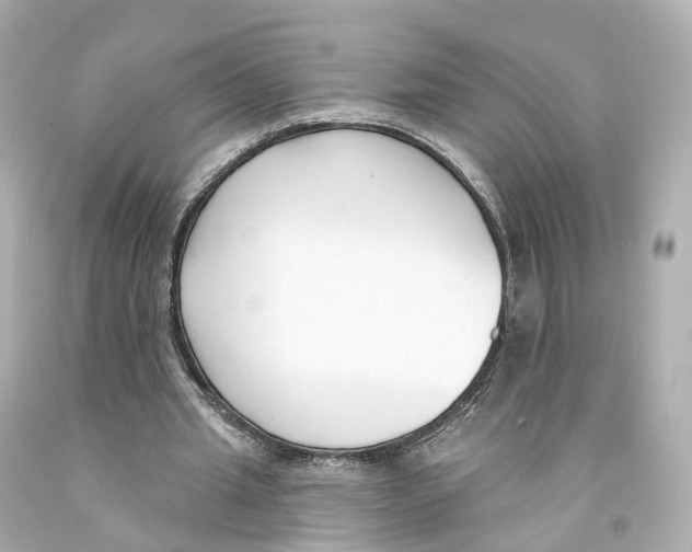 X0000093090437200710241203