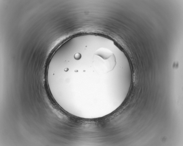 X0000093090438200710241203