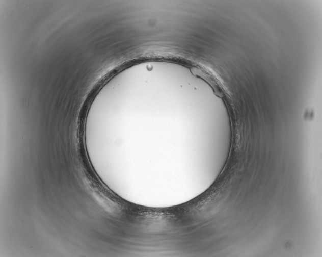 X0000093090439200710241204