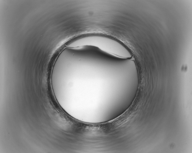 X0000093090440200710241204