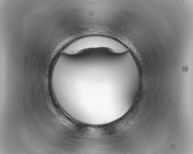 X0000093090442200710241204