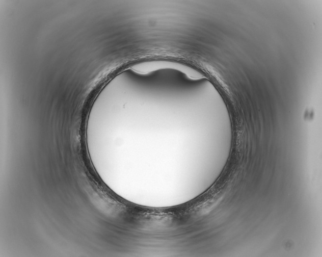 X0000093090443200710241204
