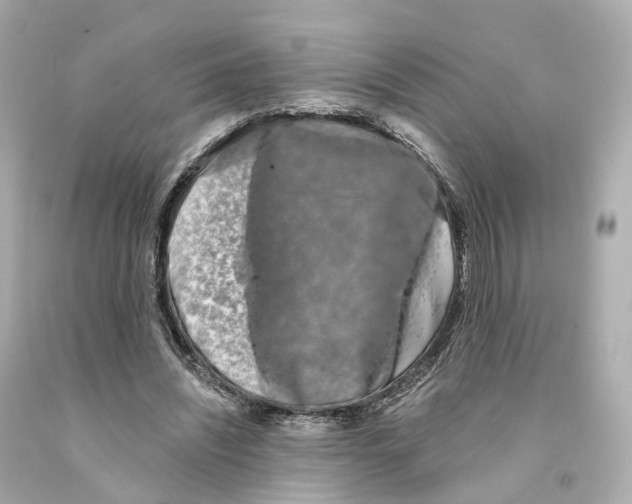 X0000093090444200710241204