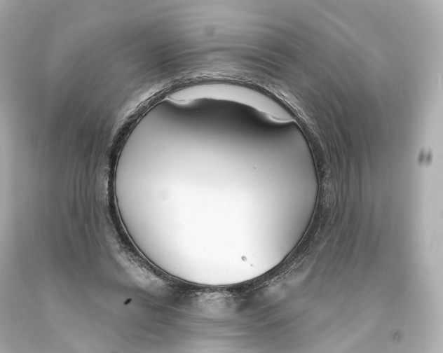 X0000093090446200710241204