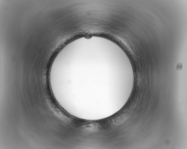 X0000093090447200710241204
