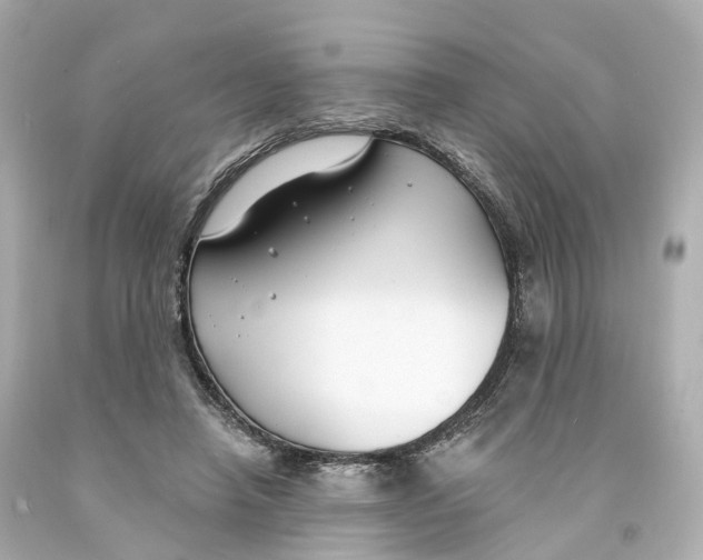 X0000093090450200710241204