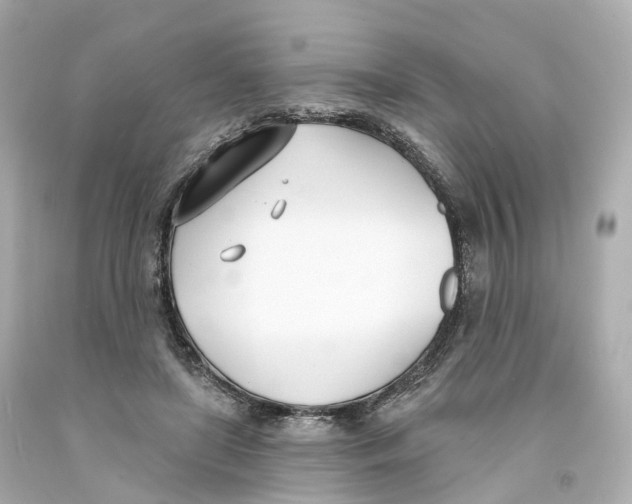 X0000093090451200710241204