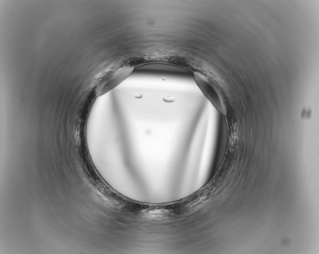 X0000093090452200710241204