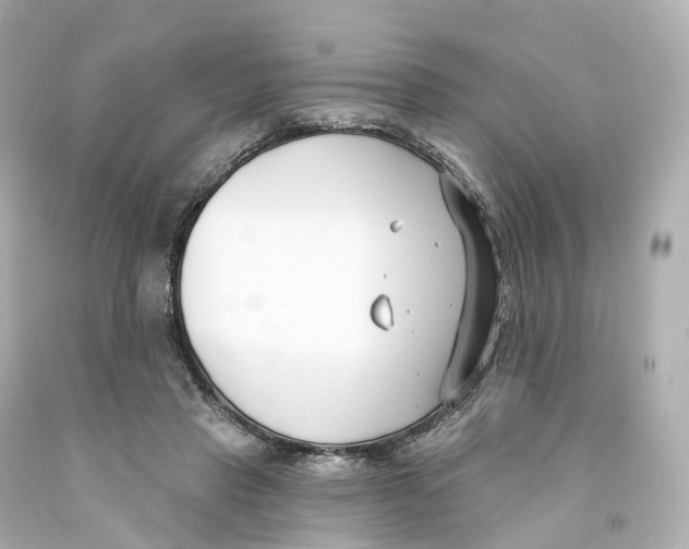 X0000093090453200710241204