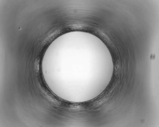 X0000093090454200710241204