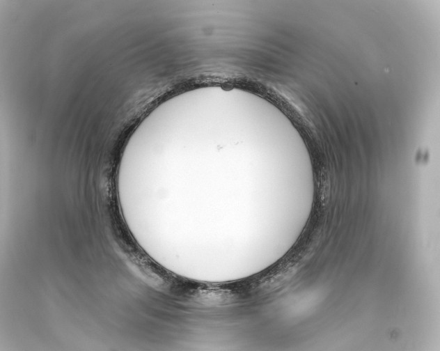 X0000093090455200710241204