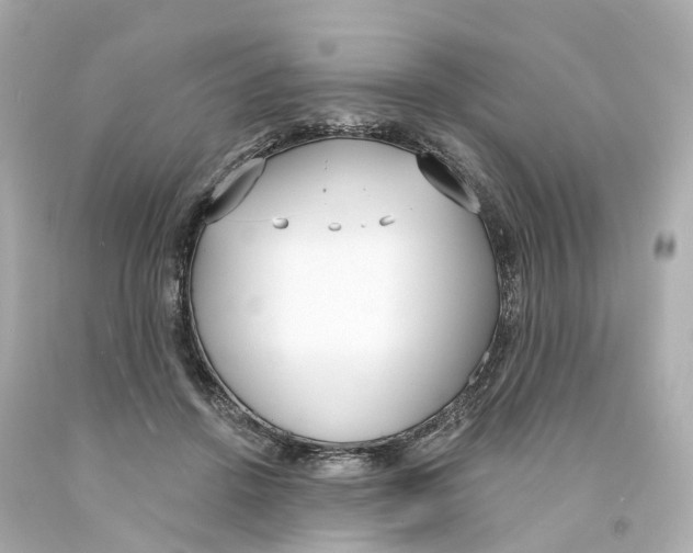 X0000093090456200710241204