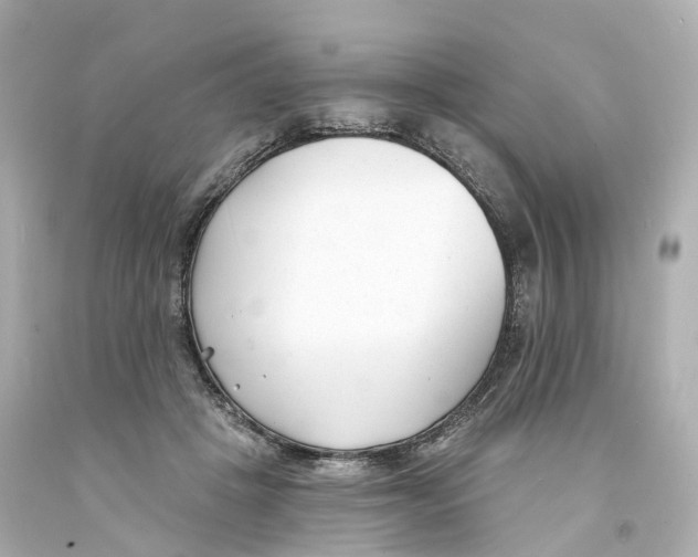 X0000093090457200710241204