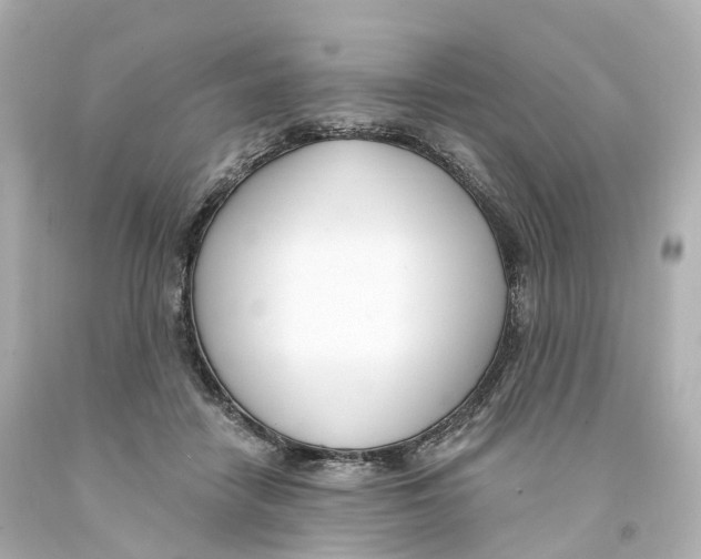 X0000093090458200710241204