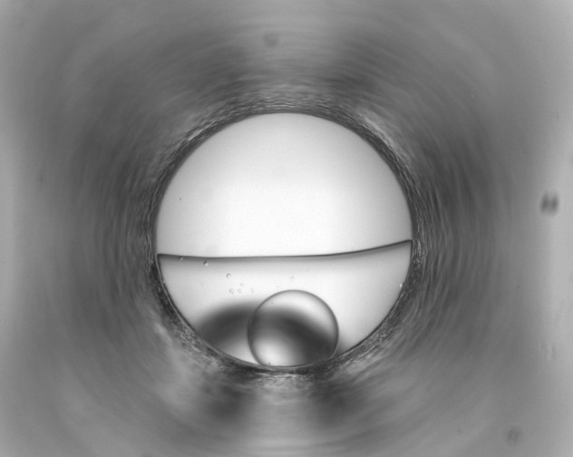 X0000093090459200710241204