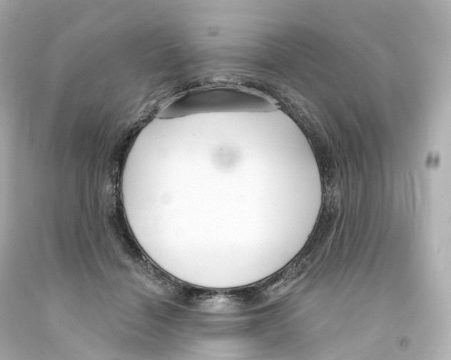 X0000093090460200710241204