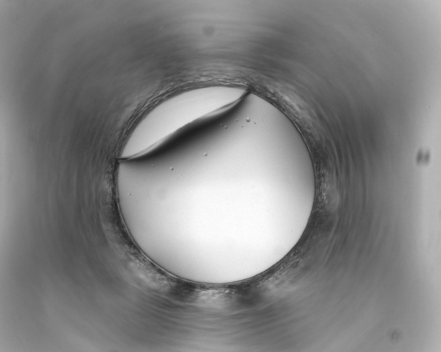 X0000093090461200710241204