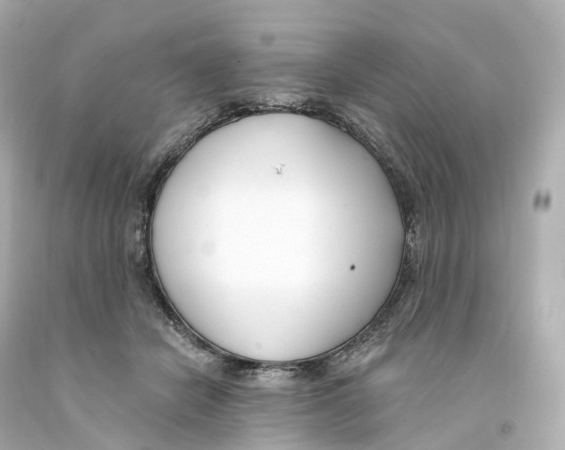 X0000093090462200710241204