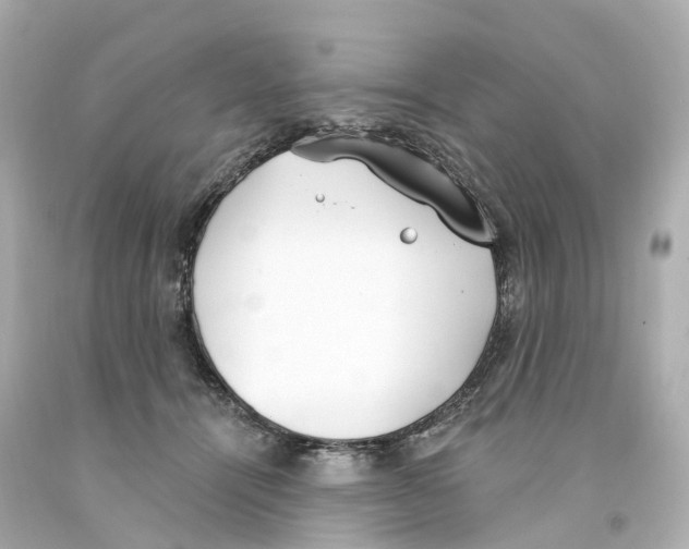 X0000093090464200710241204