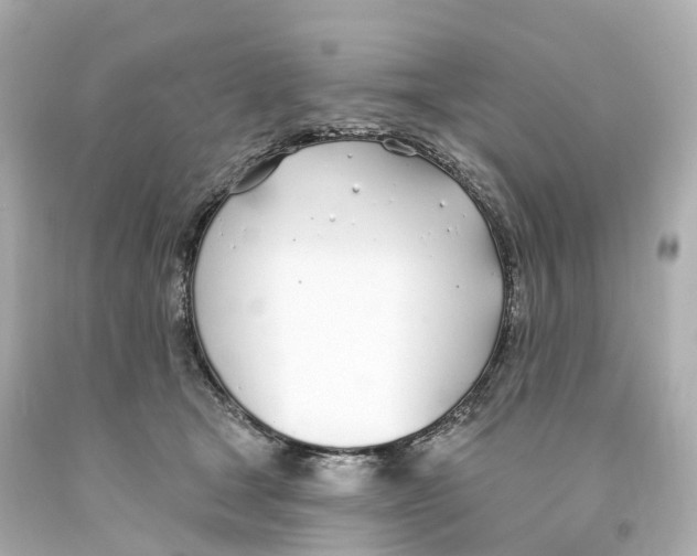 X0000093090465200710241204