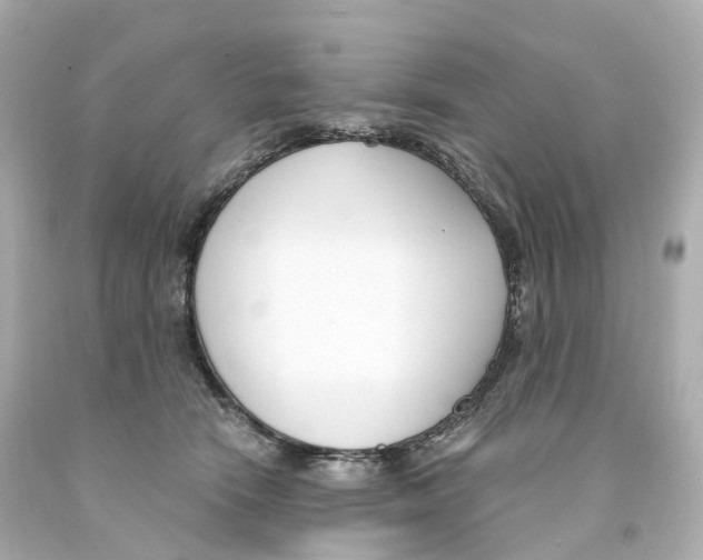 X0000093090466200710241204