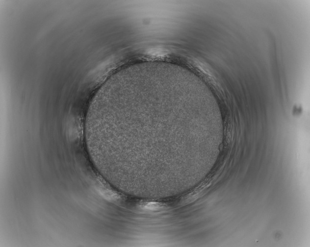 X0000093090467200710241204