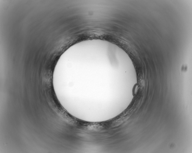 X0000093090468200710241204