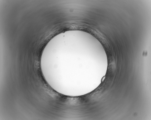 X0000093090469200710241204