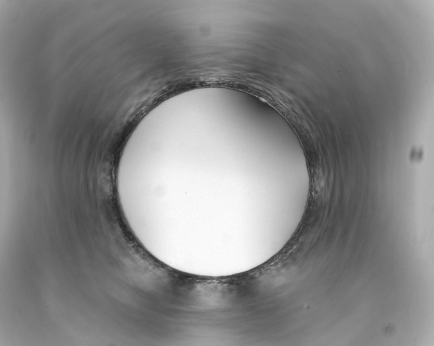 X0000093090470200710241204