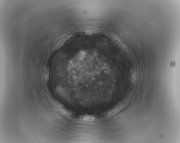 X0000093090471200710241204