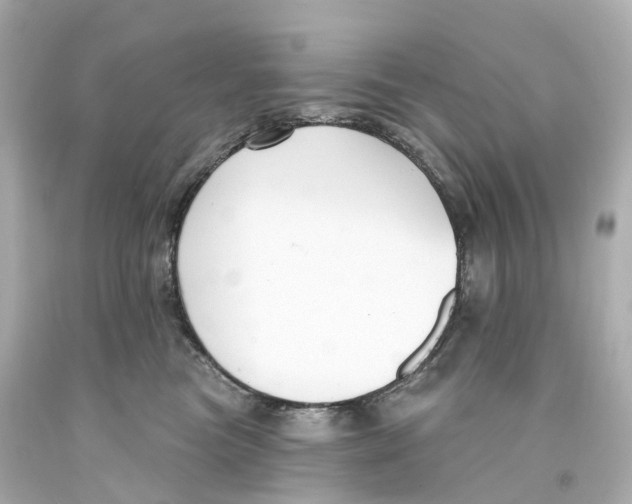 X0000093090473200710241204
