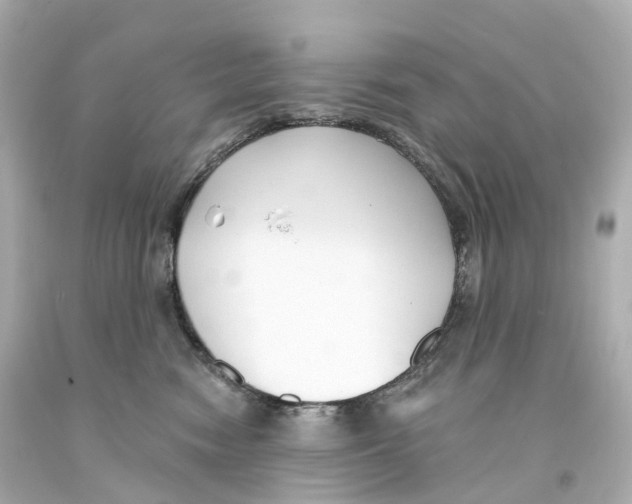 X0000093090474200710241204