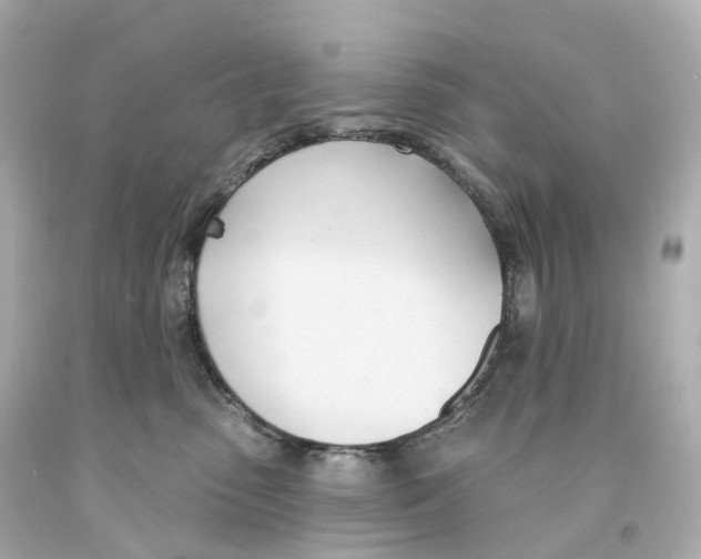 X0000093090475200710241204