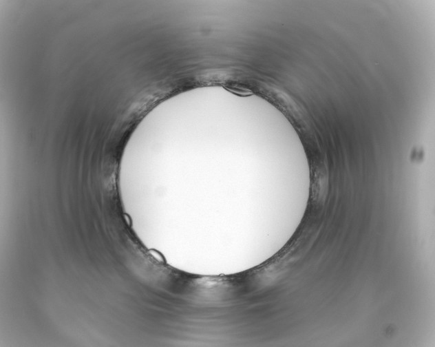 X0000093090477200710241204