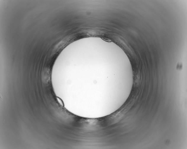 X0000093090478200710241204