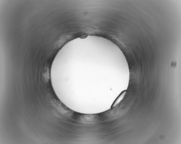 X0000093090479200710241204