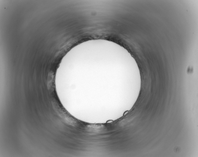 X0000093090480200710241204