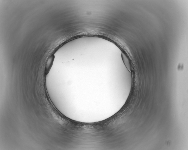 X0000093090481200710241203