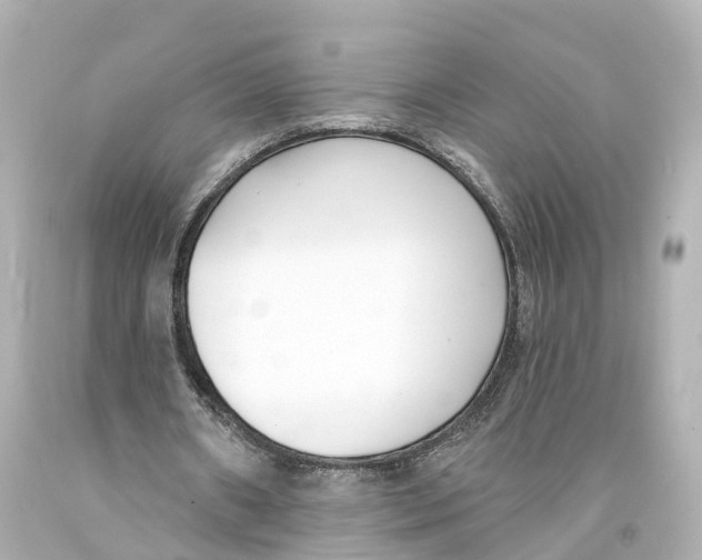 X0000093090482200710241203