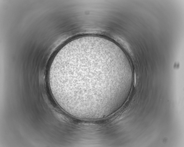 X0000093090483200710241203