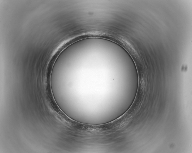 X0000093090484200710241203