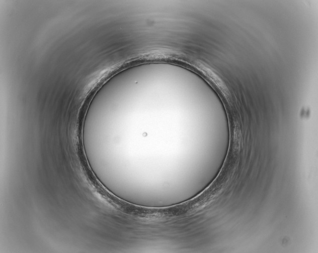 X0000093090485200710241203
