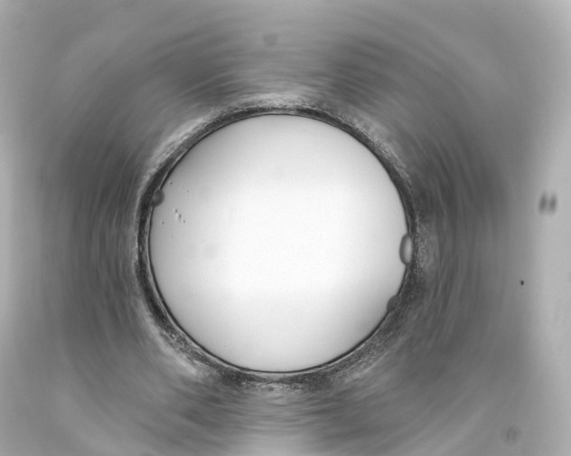 X0000093090486200710241203